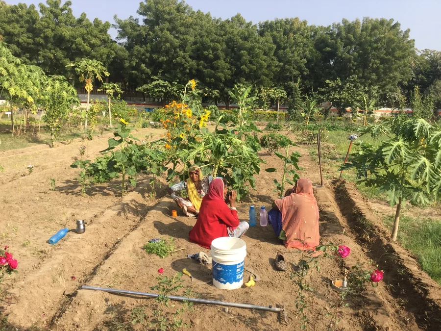 cleaning the centre of Shiv Bagh 1200